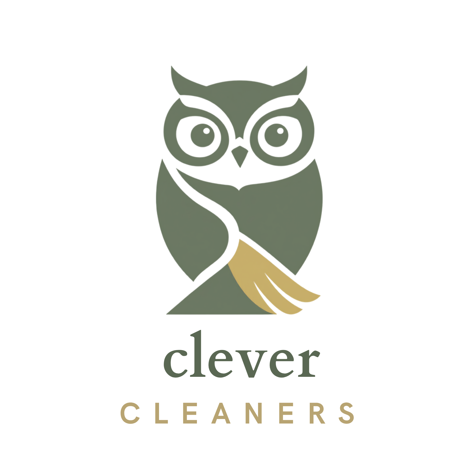 Clever Cleaners logo — an owl above the words Clever Cleaners